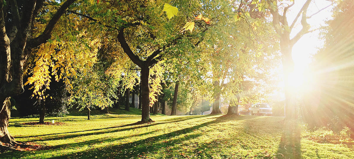 Выходные в Загородном парке