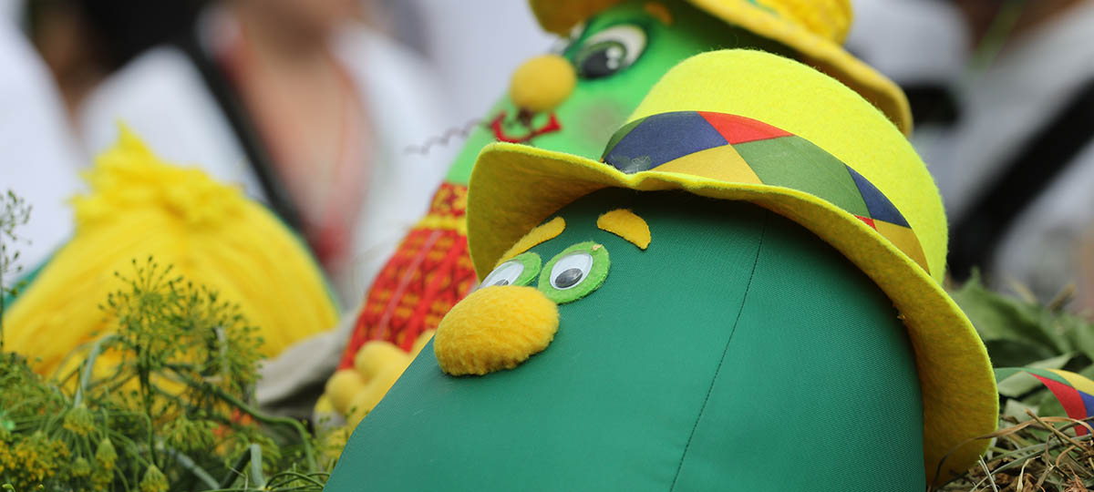 День огурца в Суздале