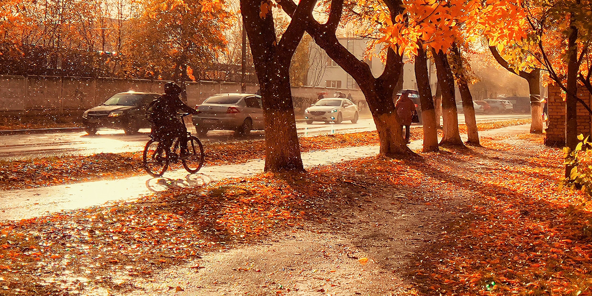 «Осень – это показ мод в Милане!» Буйство красок на снимках владимирцев