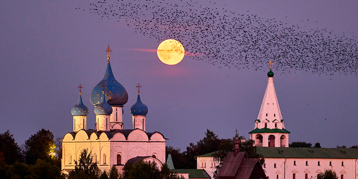 Танец грачей и след от самолета на фоне урожайного полнолуния, снятого в 33-м регионе 