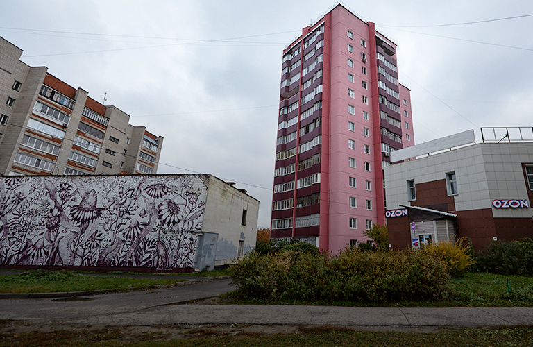 Одинокие цветовые доминанты Владимира вместо серых «панелек»: курс на позитив или безвкусица?