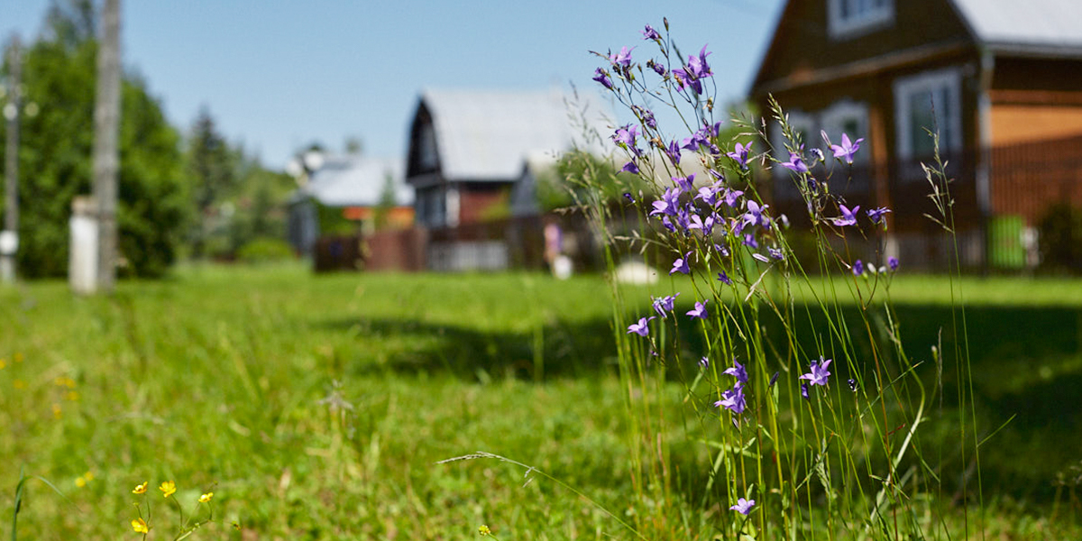 300 тысяч за красоту: каким населенным пунктам достался Гран-при областного конкурса?