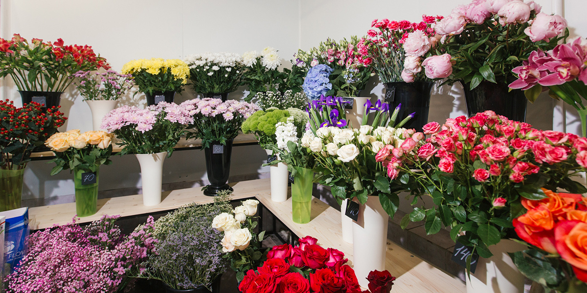 Летняя «пиономания»: два новых магазина, где можно купить превосходные цветы