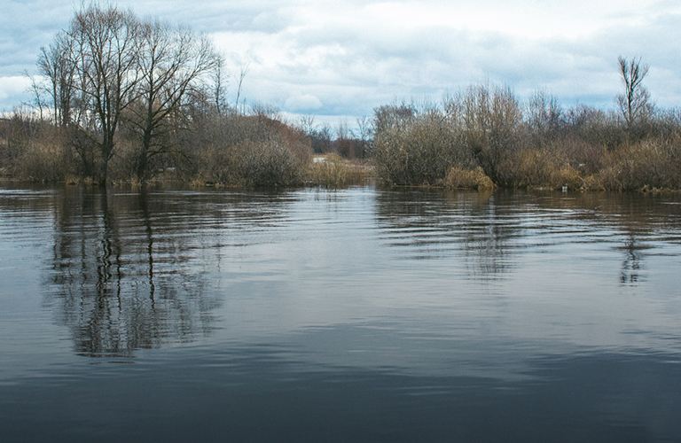 Где в Гороховце прятались от «большой воды» и какой город региона считался местной Венецией?