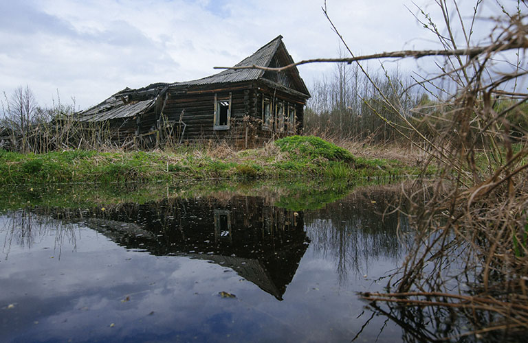 Милиново: село-призрак в Ковровском районе, где уже 30 лет никто не живет