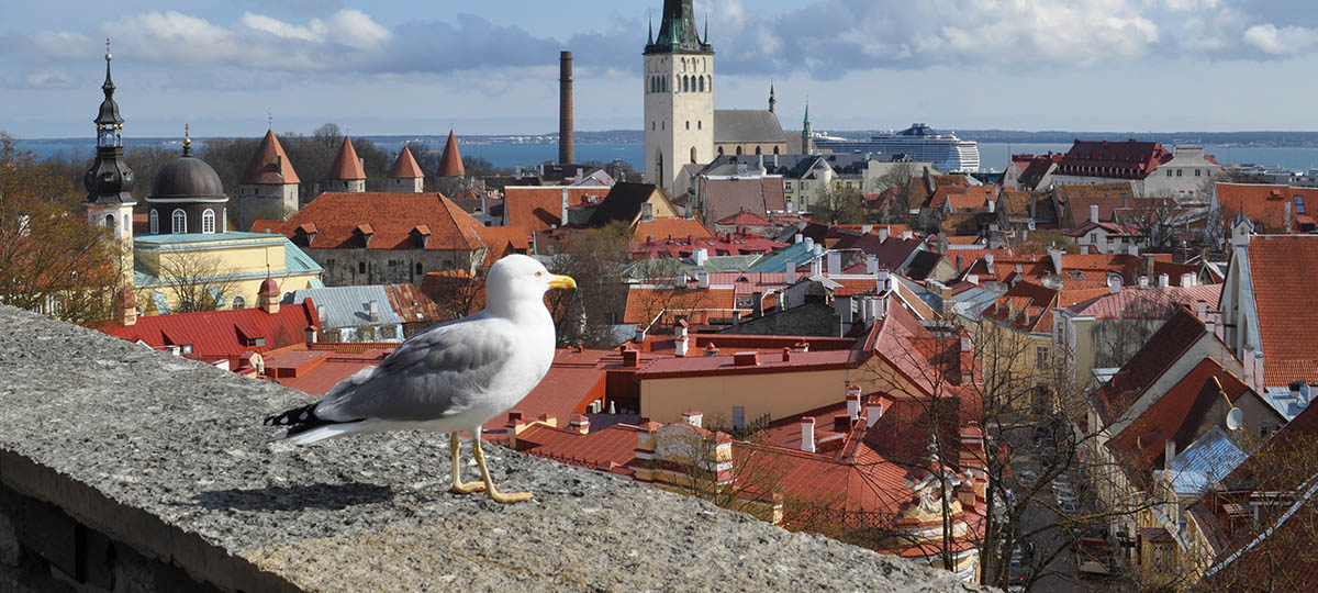 Владимирец проехал 32000 км по Европе: подробности