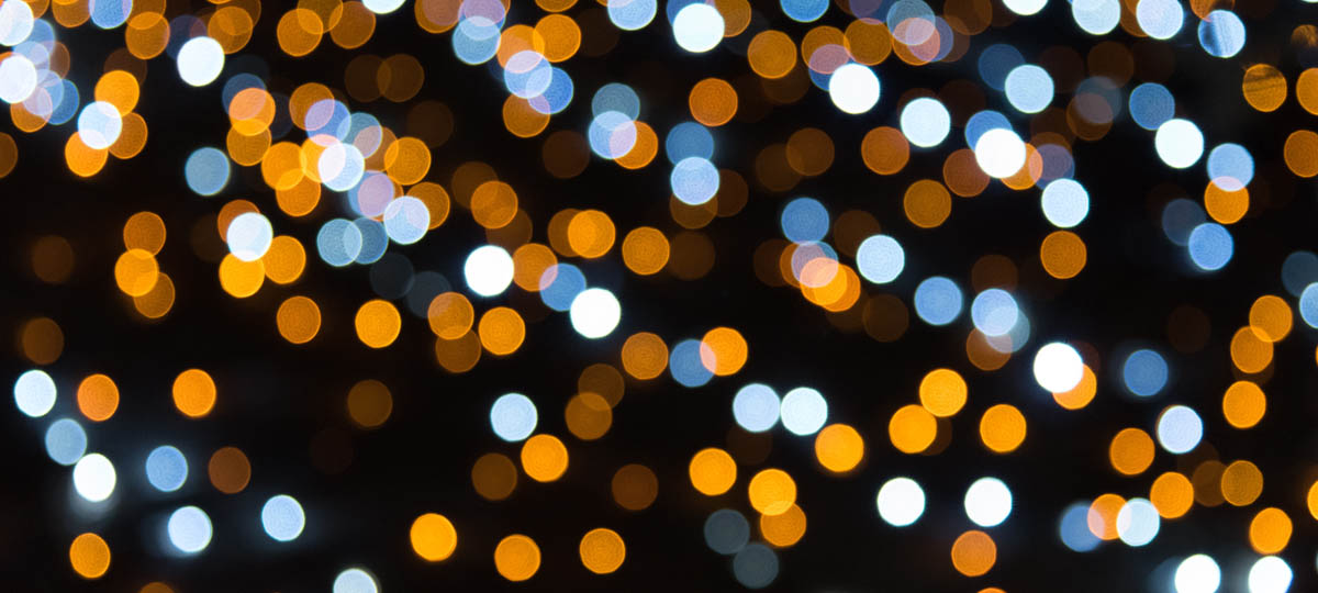 Подпольник. Узнаем, знакомимся, наслаждаемся