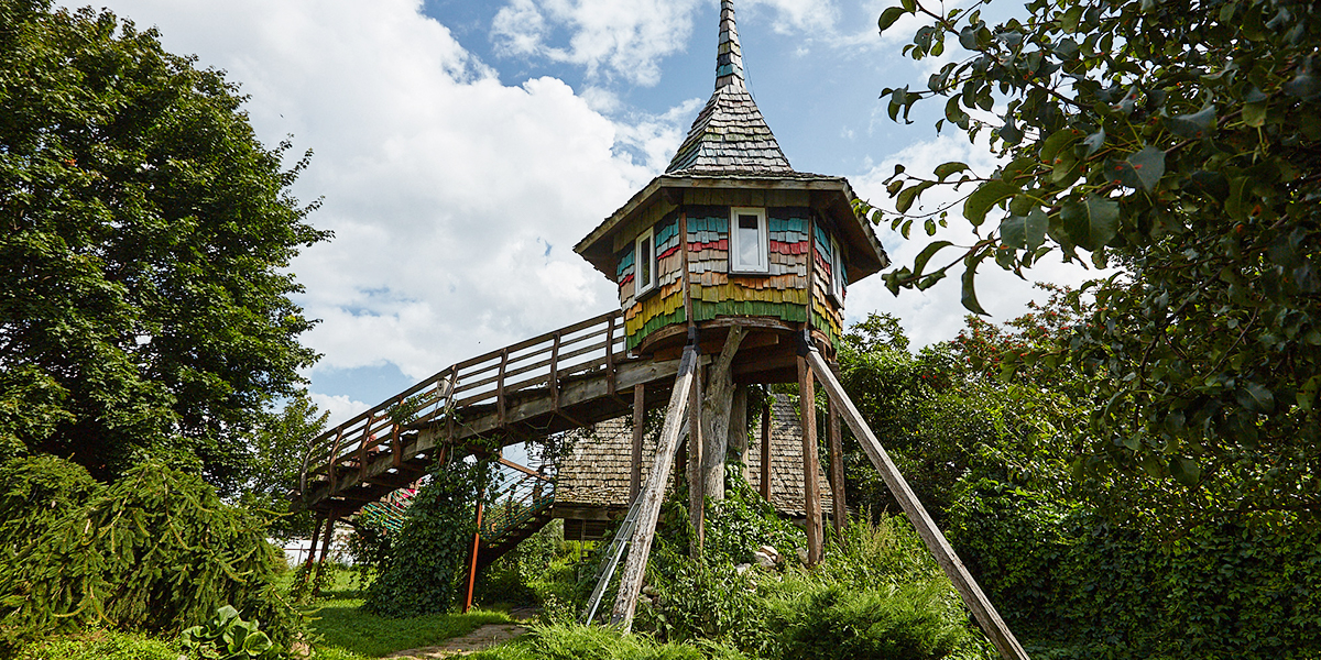 Замок Рапунцель на старых вязах и другие чудеса дома-музея суздальского коллекционера