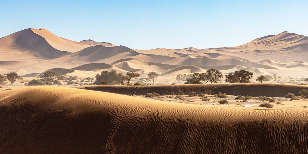 7000 км за рулем автомобиля — владимирские туристы посетили ЮАР, Ботсвану, Намибию и Зимбабве