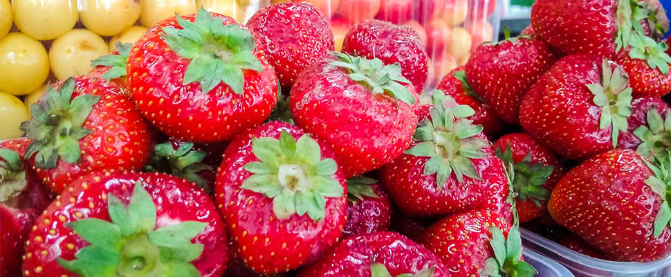 У нас все свежее: покупаем фрукты и ягоды на рынке Владимира