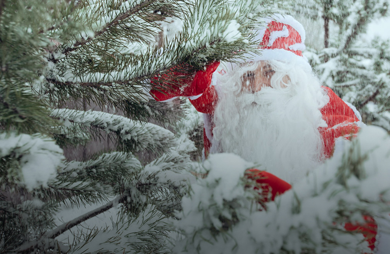 Новогодние чудеса в ноябре: владимирцы отпразднуют день рождения Деда Мороза!