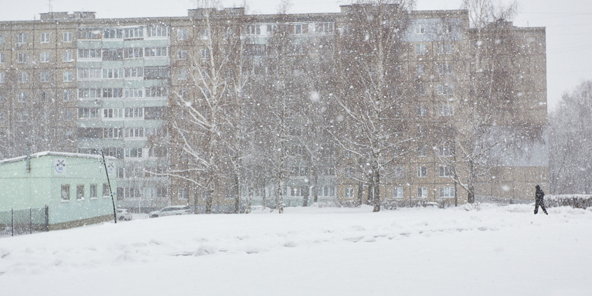 Чудеса на виражах: оттепель во Владимирской области сменится 15-градусными морозами