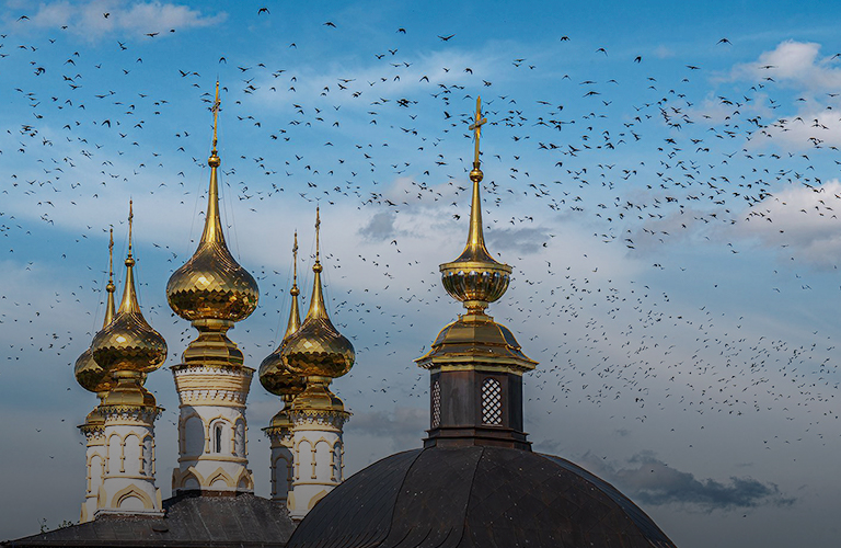 Шоу пернатых танцоров в предзакатном небе Суздаля, или Пойманный в объектив эффект мурмурации