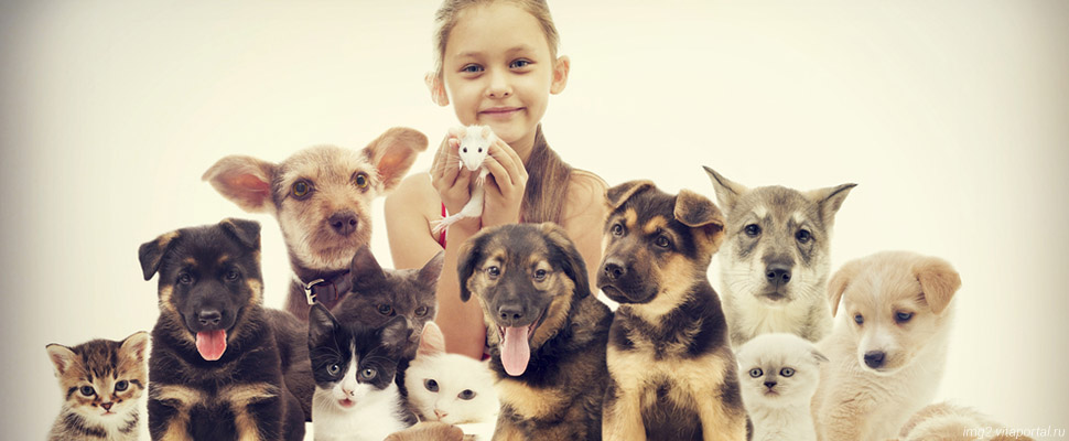 День защиты животных:^ 5 историй счастья