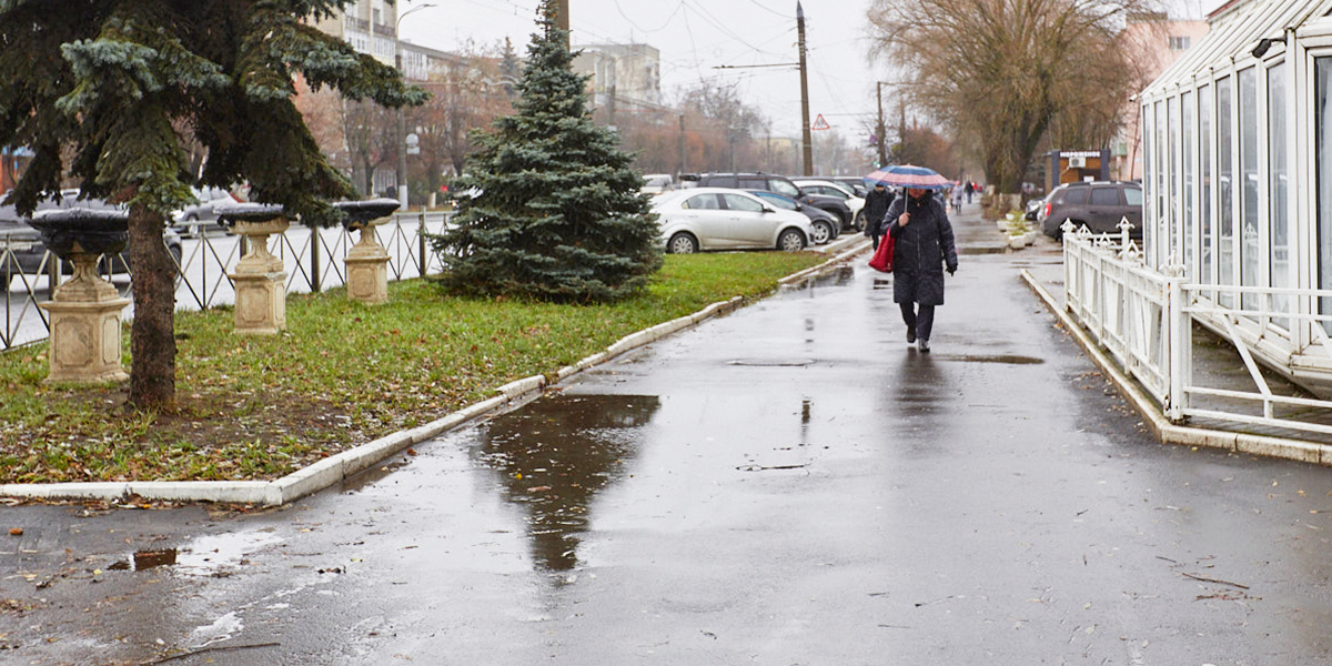 По одному ведру дождевой воды на метр площади. Финал недели в регионе будет неприятным