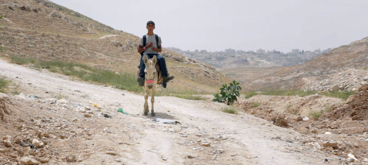 Документальное кино: «Кто украл Banksy?»