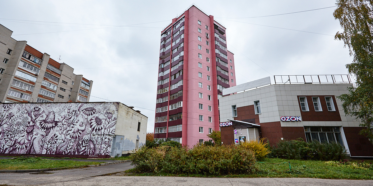 Одинокие цветовые доминанты Владимира вместо серых «панелек»: курс на позитив или безвкусица?