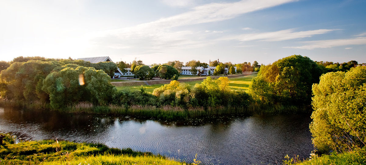 Open air «#БЕРЕГ»: Музыка, краски и море вкусного