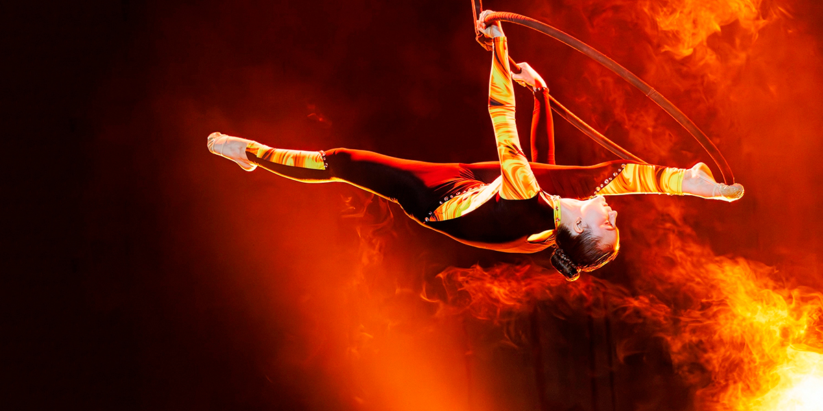 Во Владимире прошел фестиваль воздушной гимнастики, а в Суздале — турнир по самбо