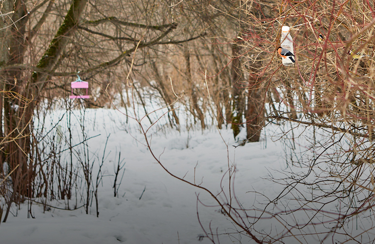 Вместо белой шубки — зеленое пальто. Смена погодного гардероба во Владимирской области