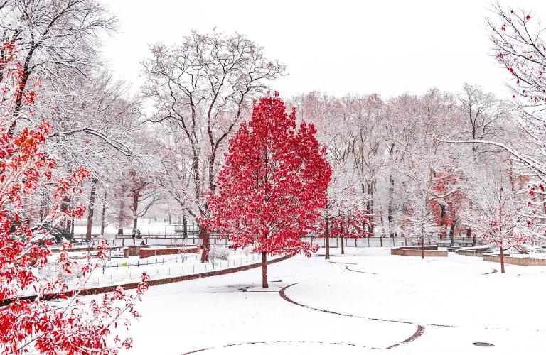 Оцените «Тот момент, когда...»