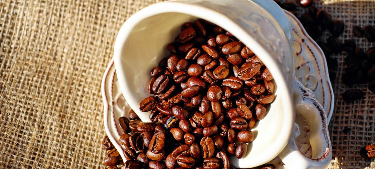 День кофе в кулинарной студии «Roulet»