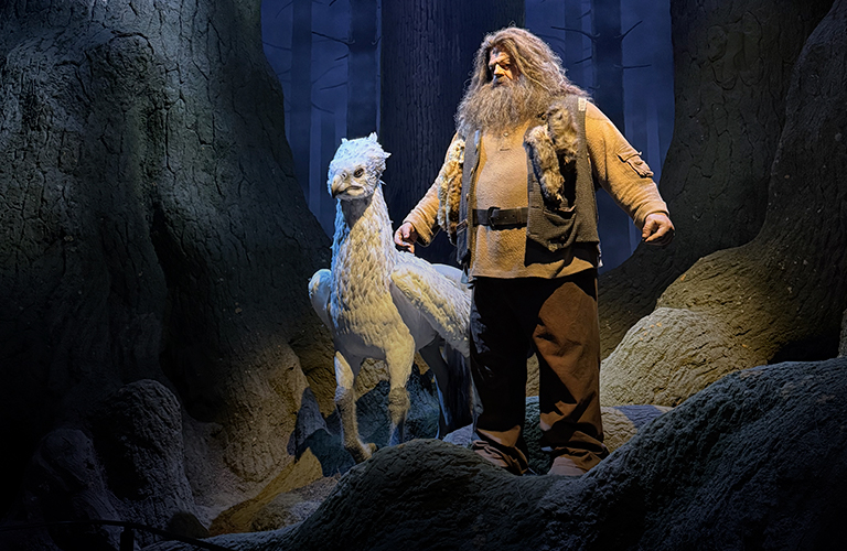 Мир Марио, музей Гарри Поттера и парк оленей — фотограф из Владимира о чудесах сказочной Японии