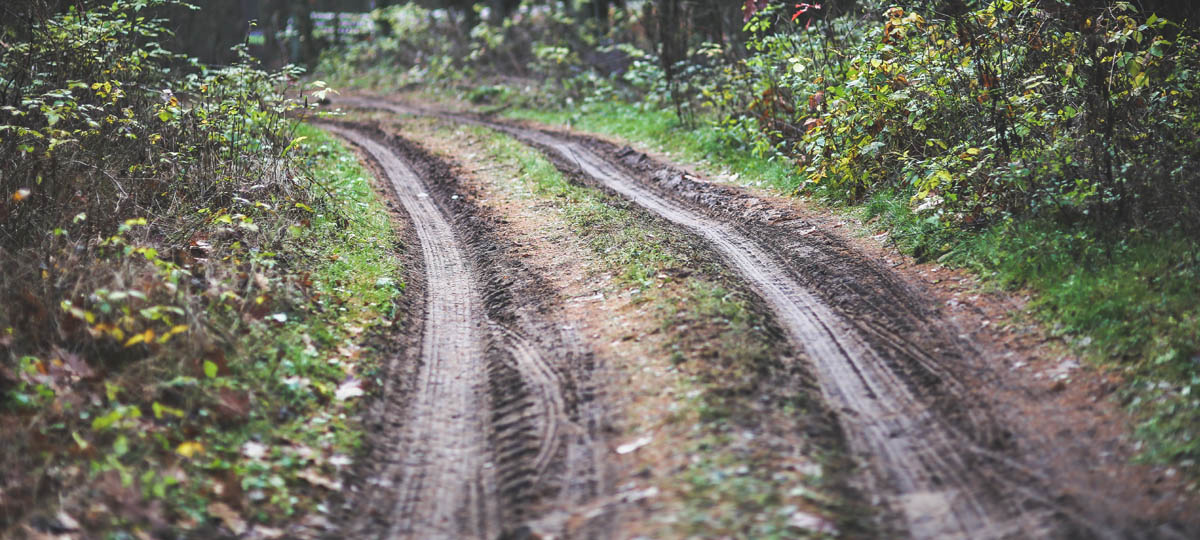 Соревнования по внедорожному ориентированию в Вязниковском районе
