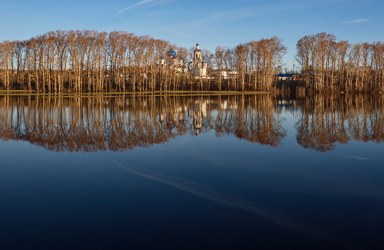 Посреди «боголюбовского моря»: как весна преобразила луг у Покрова на Нерли