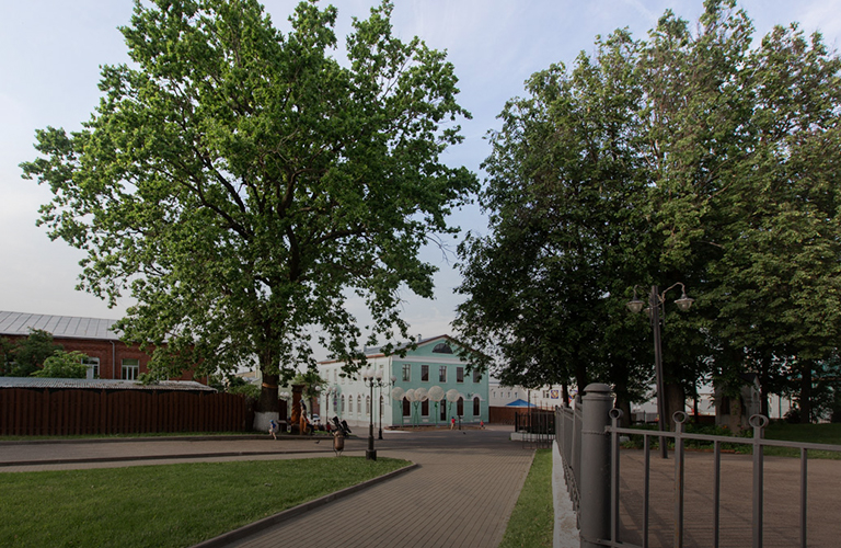 Голосуем за владимирское арт-растение! «Пушкинский дуб» может стать национальным символом-2022