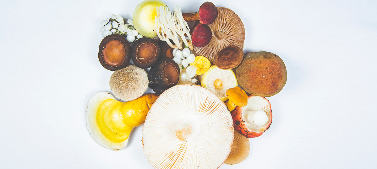 Создаем съедобную картину