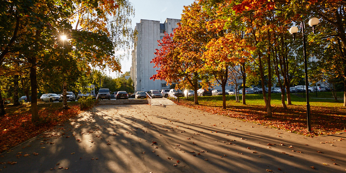 Отгуливаем последние погожие дни. На горизонте смена климатических сезонов