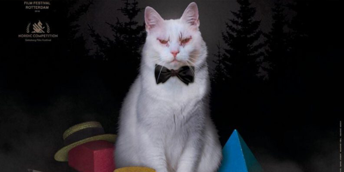 Хоррор «Коко-ди Коко-да»