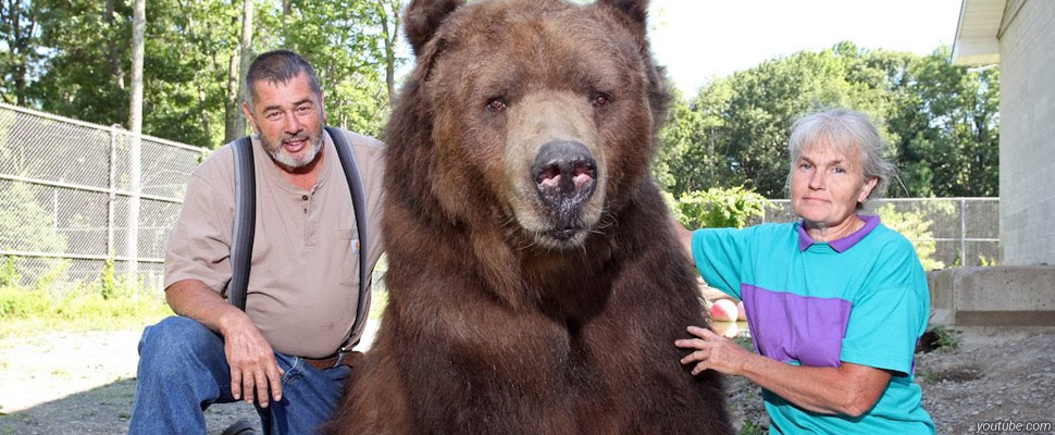 7 способов сфотографироваться^ с медведем
