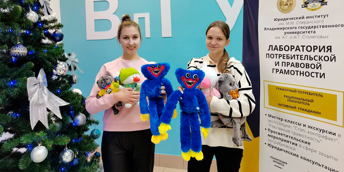 Выбираем подарки к Новому году: советы экспертов Юридического института ВлГУ