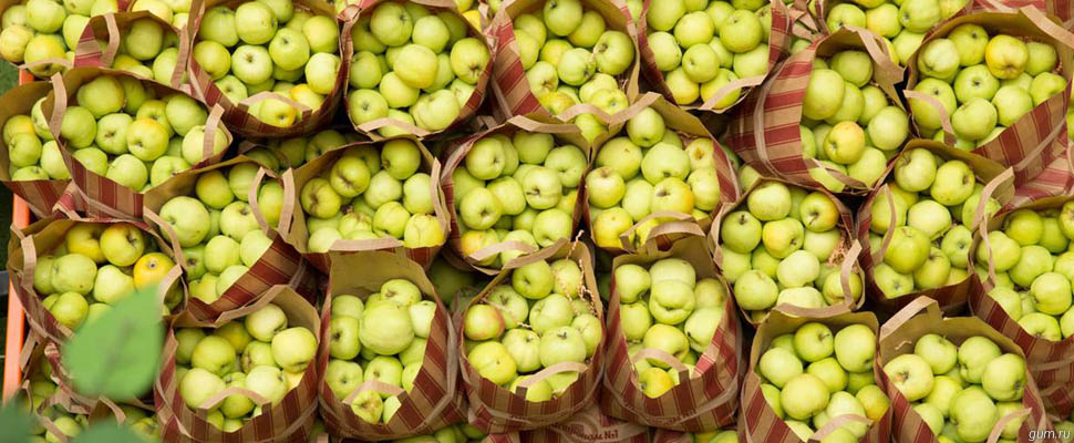 Трактор с яблоками из Владимирской области красуется в ГУМе