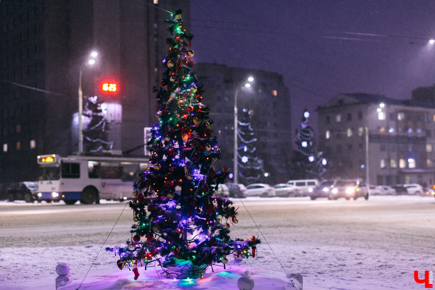 Новогодняя елка Владимира