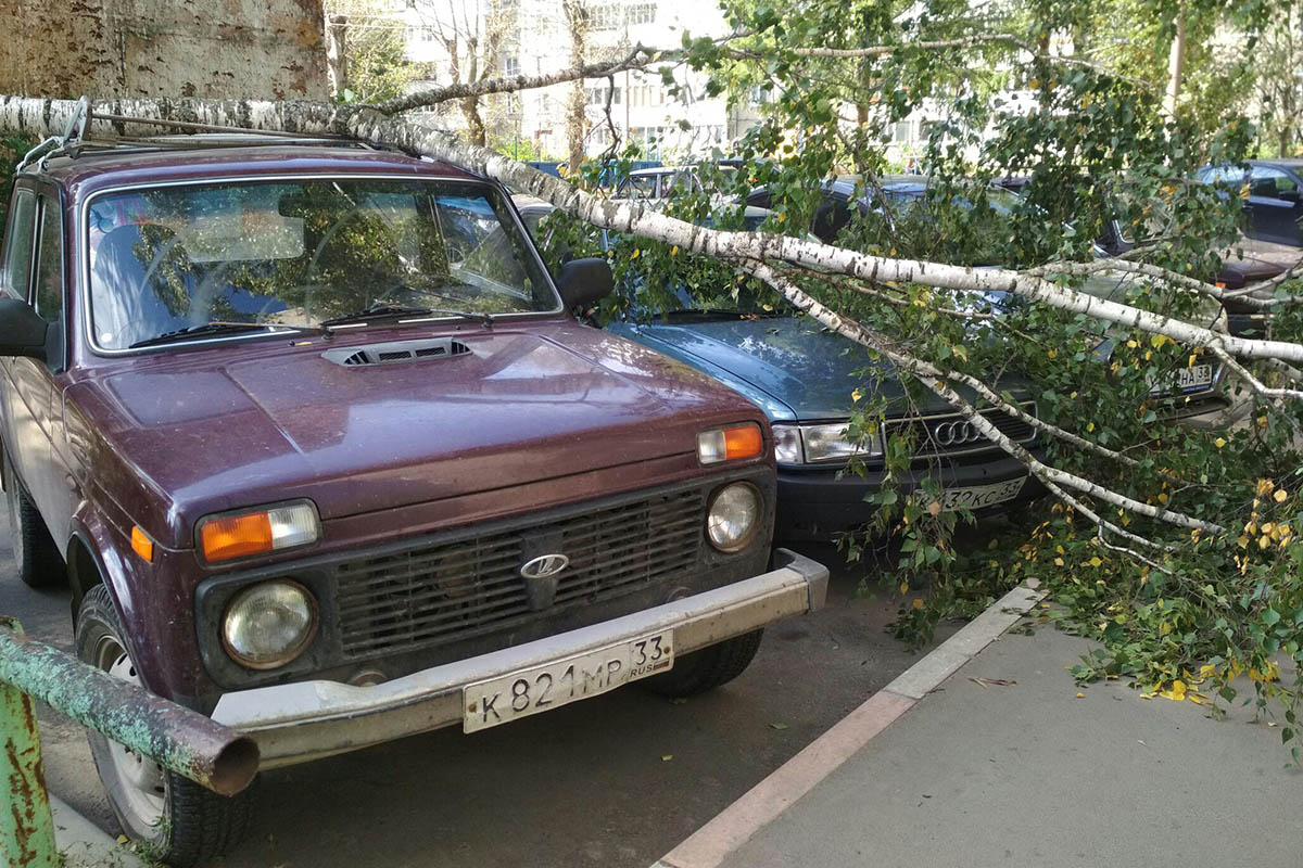 Последствия урагана во Владимире