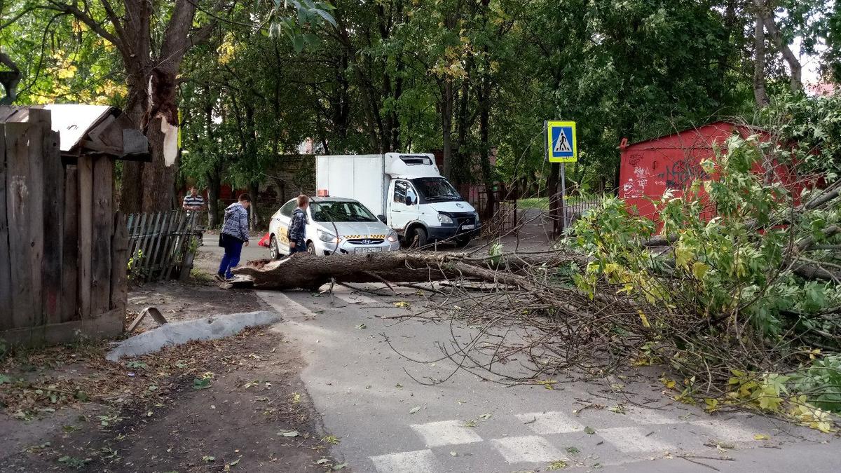 Последствия урагана во Владимире