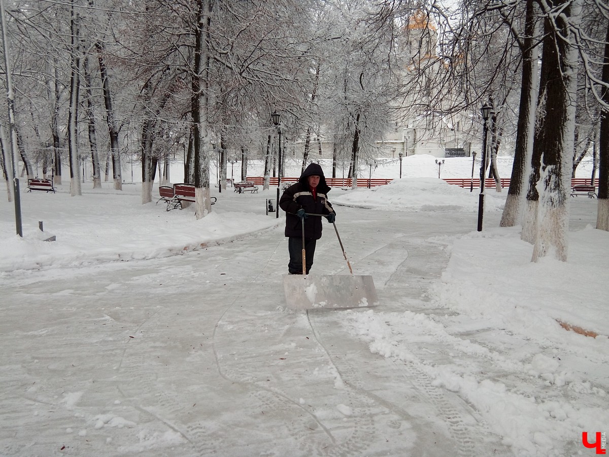 Подготовка катка в парке Пушкина