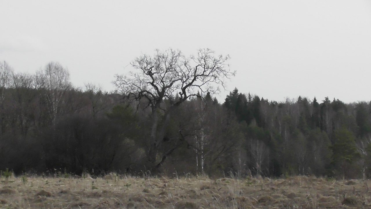 Николо-Дербский погост