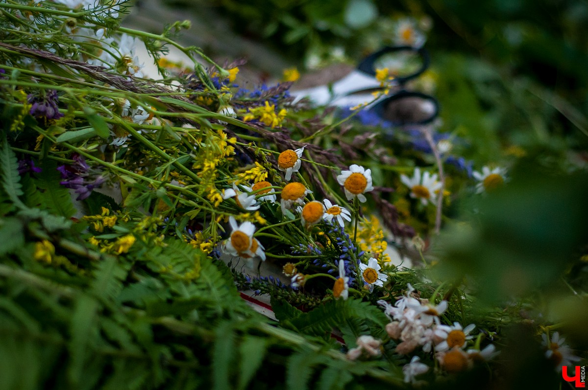 5 июля в Патриарших садах владимирцы провели Купальскую ночь по древним обычаям. Прыгали через костер, искали цветущий папоротник, спускали по воде озера свечи