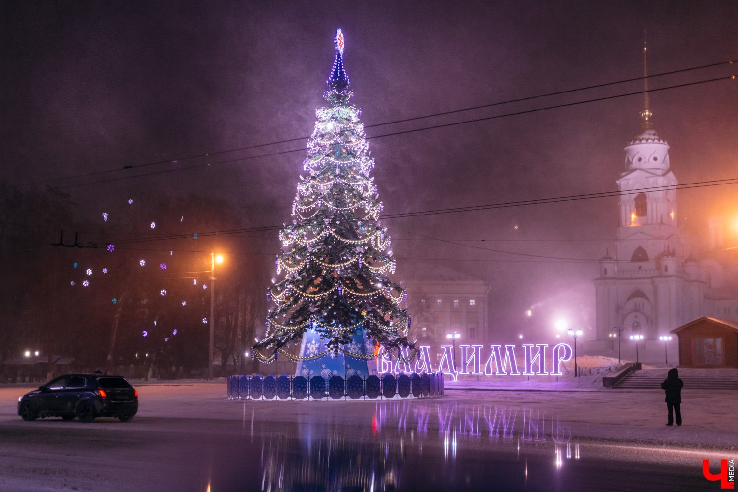 Новогодняя елка Владимира