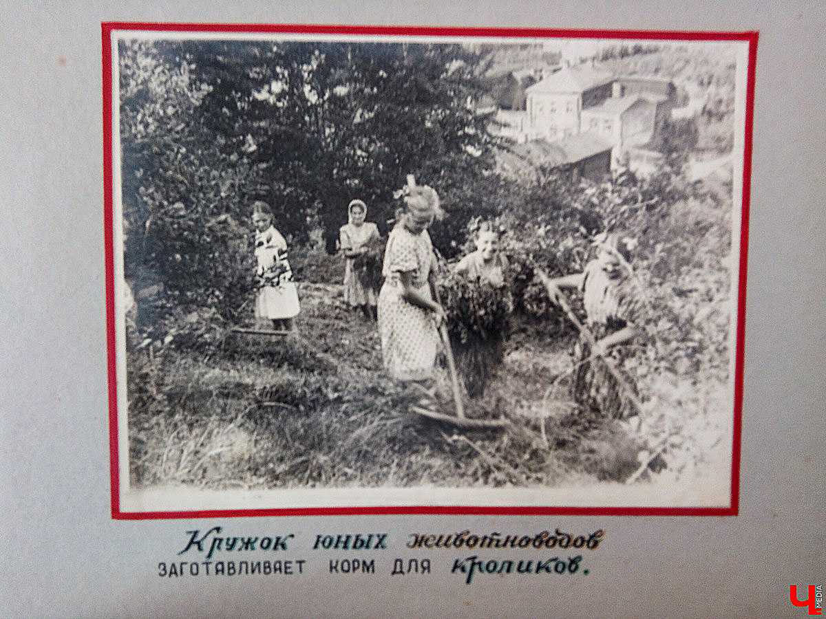История Патриаршего сада в фотографиях из архива станции юннатов
