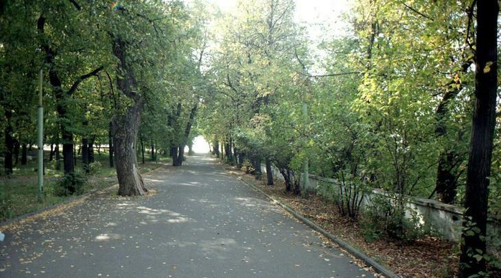 Парк им. А.С. Пушкина во Владимире. 1997 год