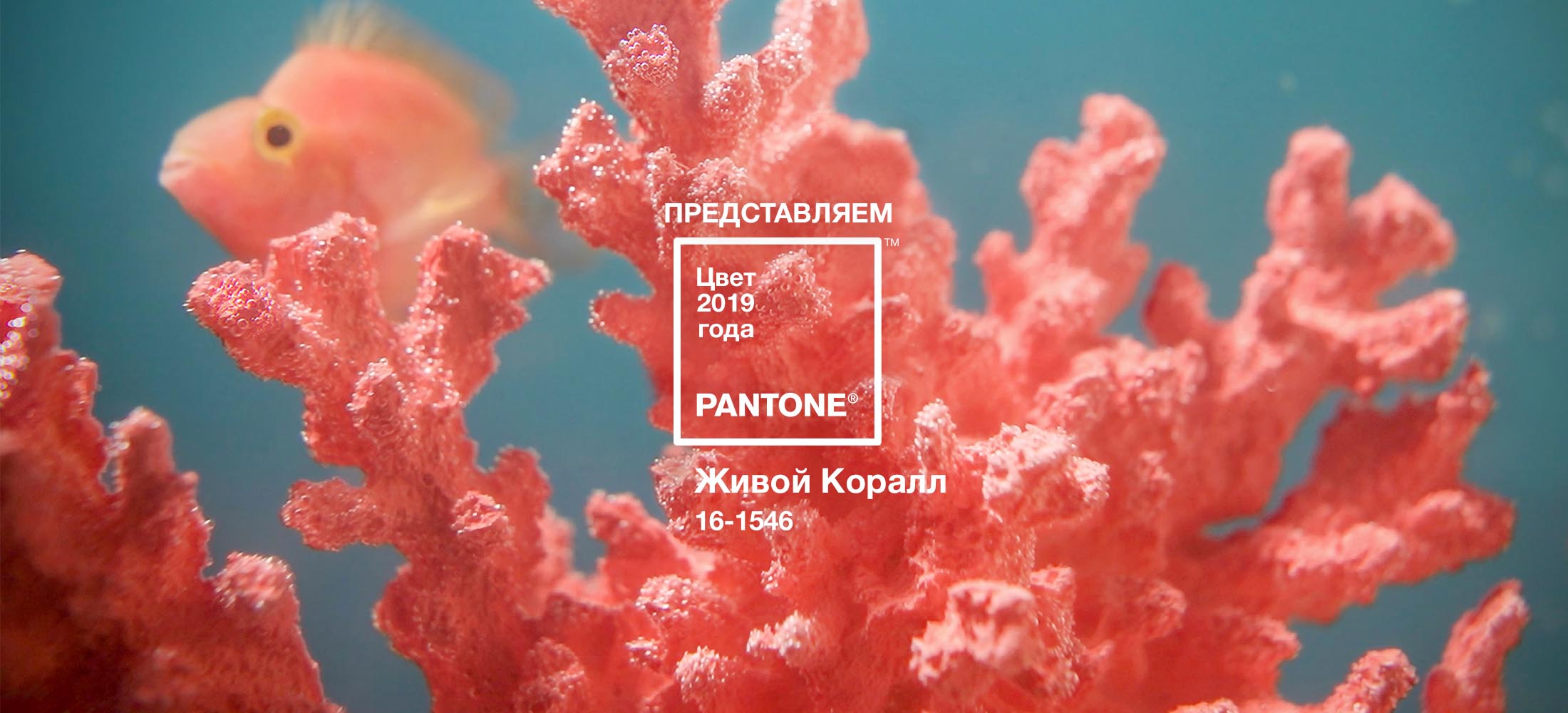 PANTONE - Живой коралл (Living Coral)