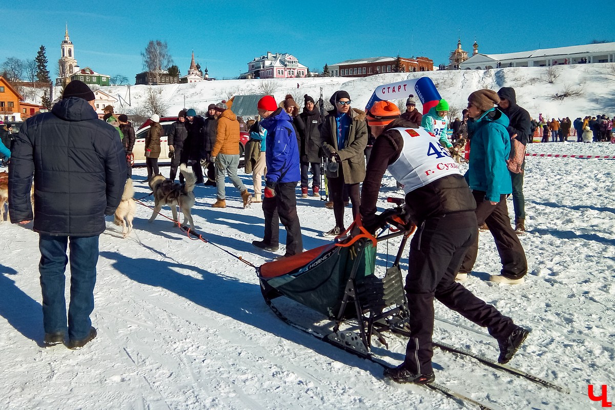 23 февраля в Суздале состоялись соревнования среди собачьих упряжек “Суздальский луг”. В нем приняли участие 170 спортсменов