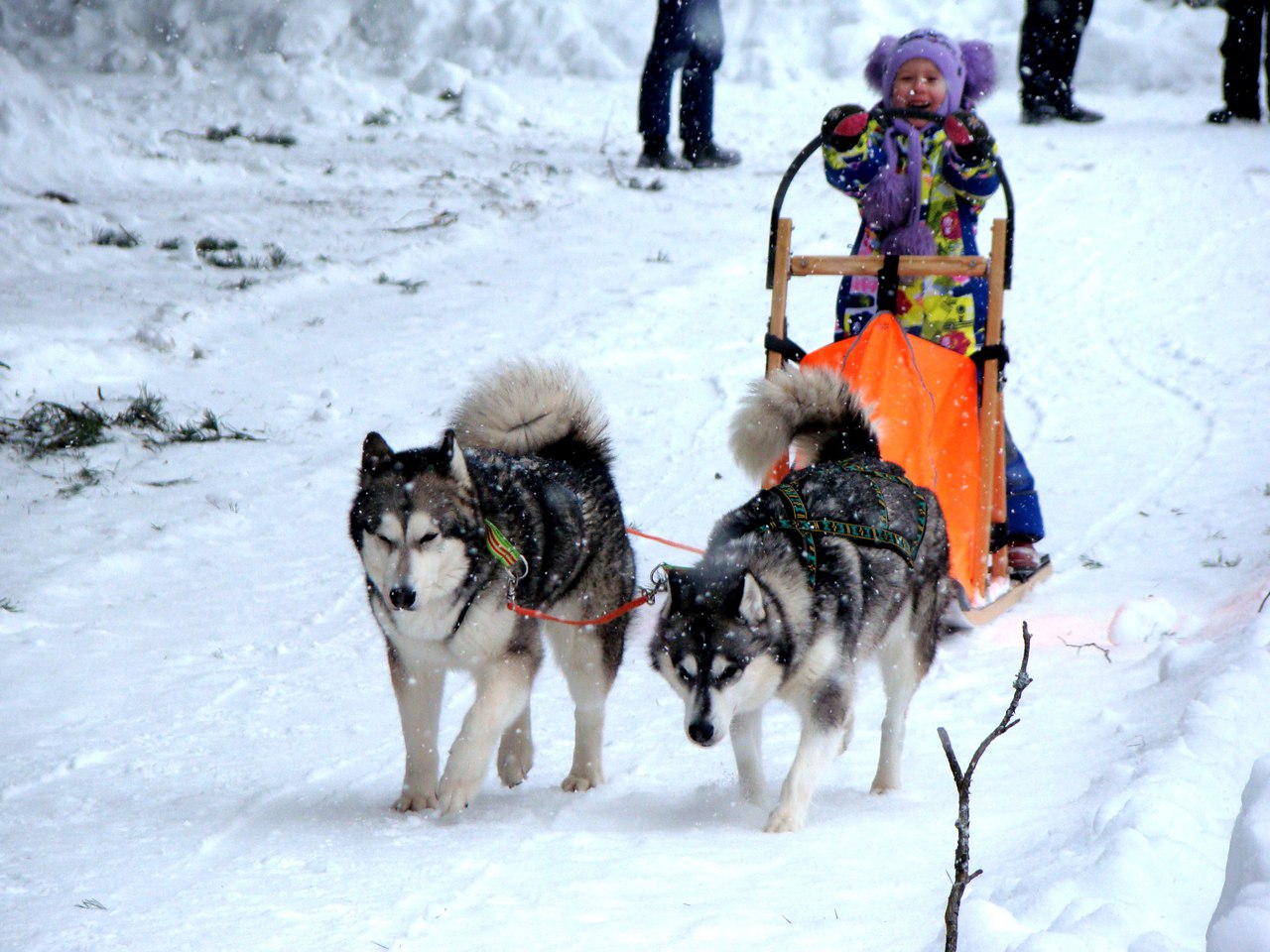 Масленица в Загородном парке