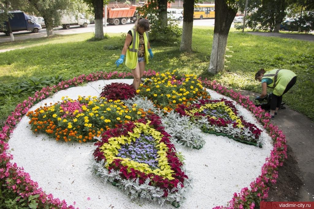 Цветники во Владимире