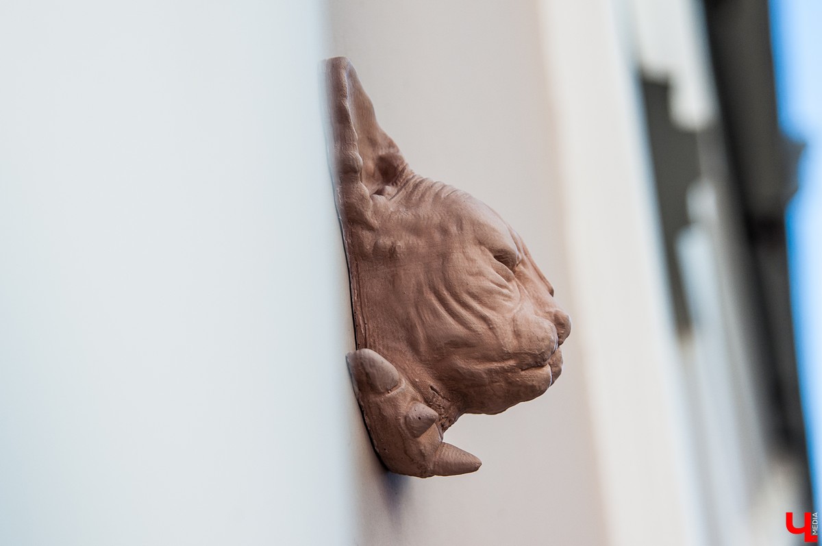 Московский скульптор Антон Тищенко приклеил на здание во Владимире гипсовую голову кошки. Кроме нашего города, он проделал подобное во многих европейских городах